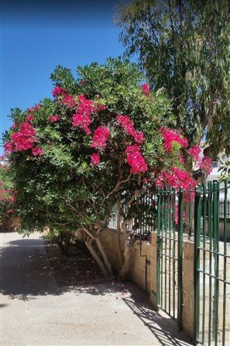 אפרטהוטל פורט ד'אלקודיה Mar Blau מראה חיצוני תמונה